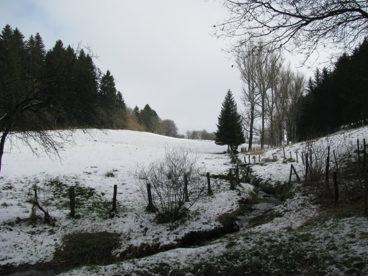transfagnarde1_0136.jpg