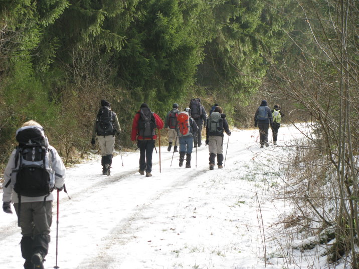 transfagnarde1_0137.jpg