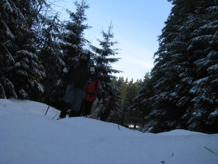 transfagnarde1_0148.jpg