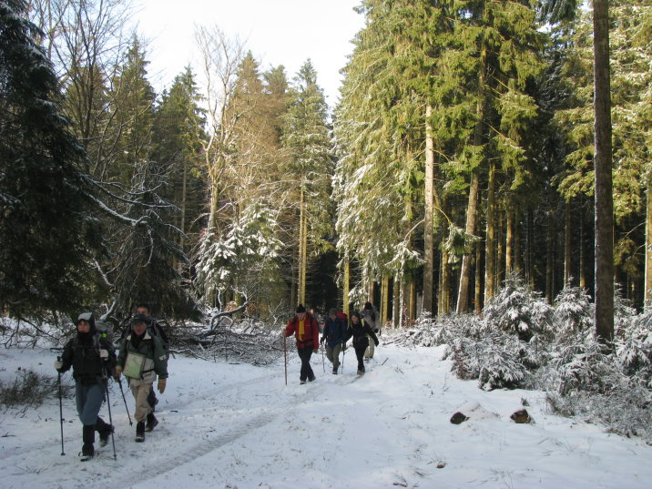 transfagnarde1_0153.jpg