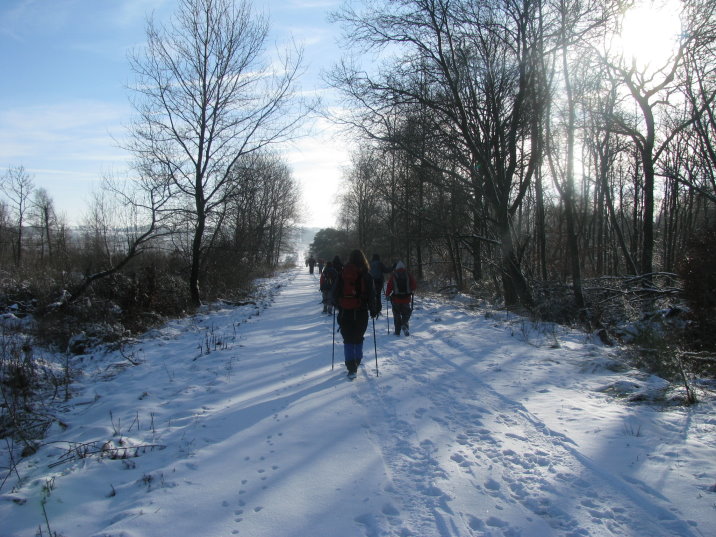 transfagnarde1_0170.jpg