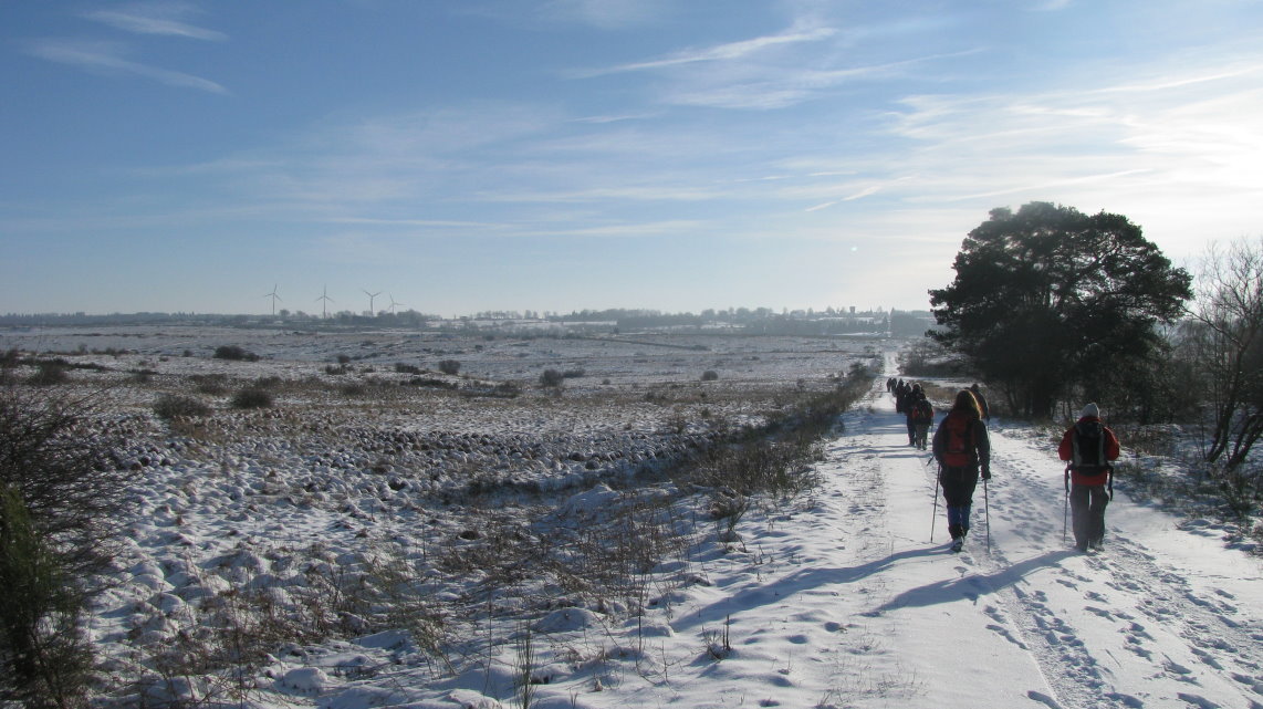 transfagnarde1_0172.jpg