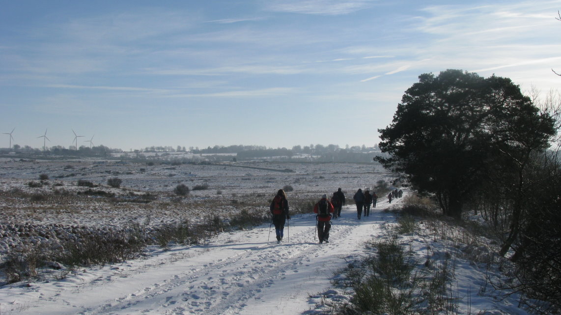 transfagnarde1_0173.jpg