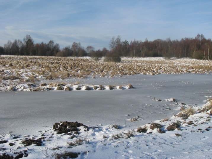 transfagnarde1_0177.jpg