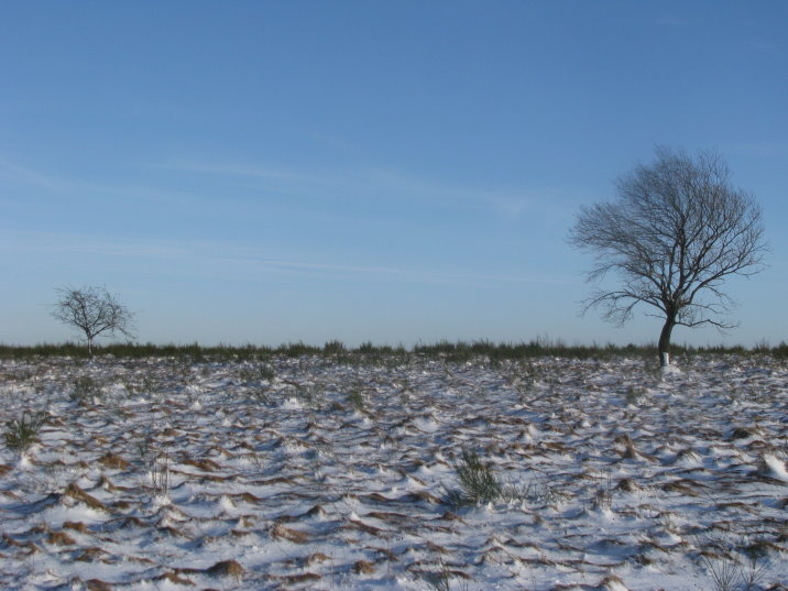 transfagnarde1_0191.jpg