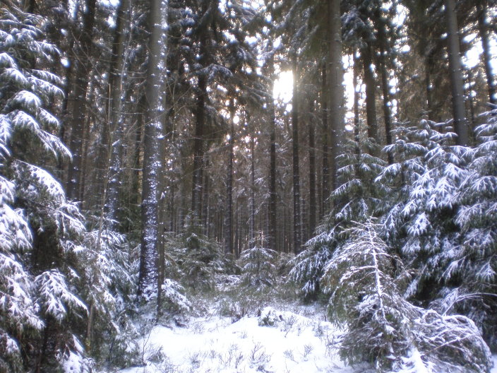 transfagnarde1_197.jpg