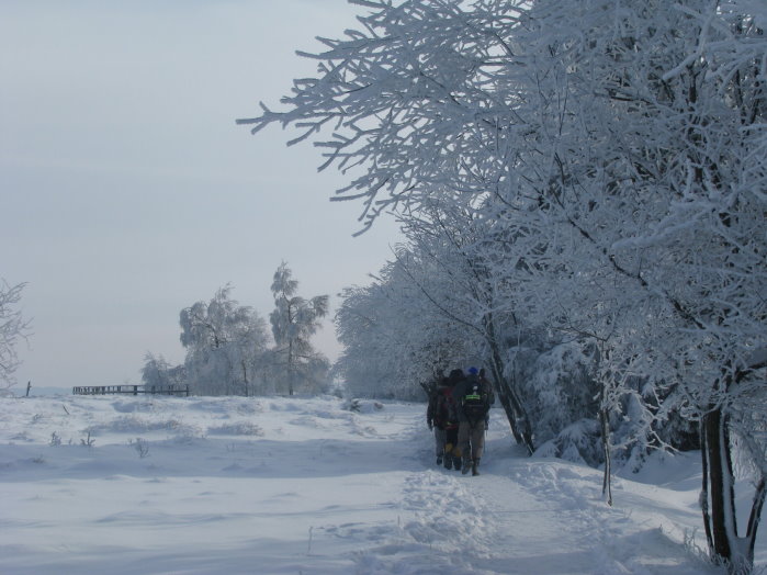 fagnes04.jpg