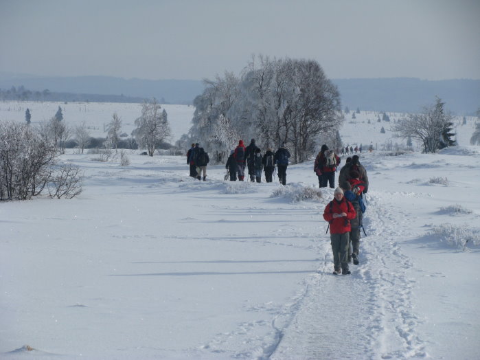 fagnes14.jpg