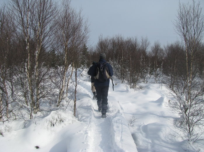fagnes27.jpg