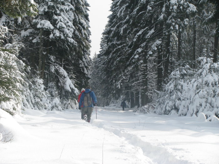 fagnes70.jpg