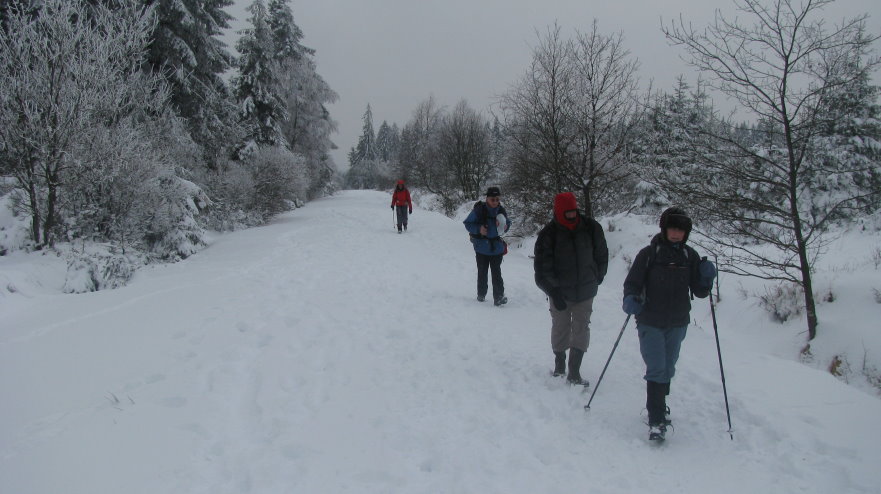 fagnes89.jpg