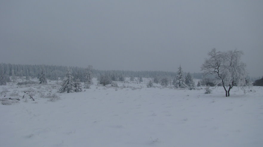 fagnes94.jpg