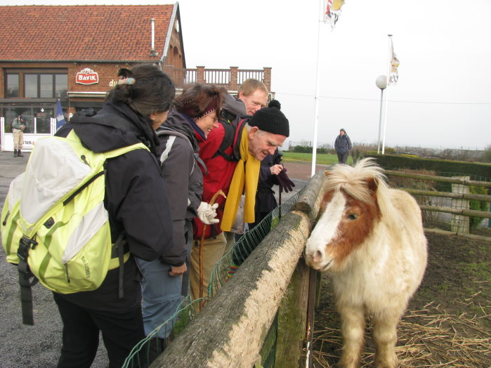 montsdesflandres50.jpg