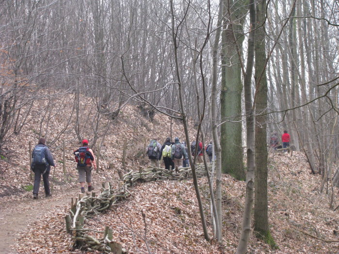 montsdesflandres66.jpg