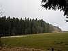 fagnes5382.jpg