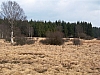 fagnes5389.jpg