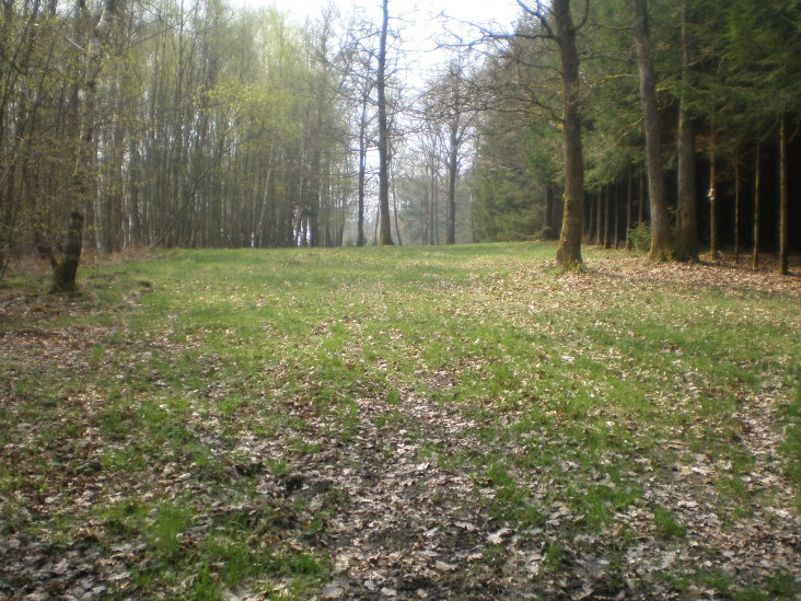 gedinne409.jpg