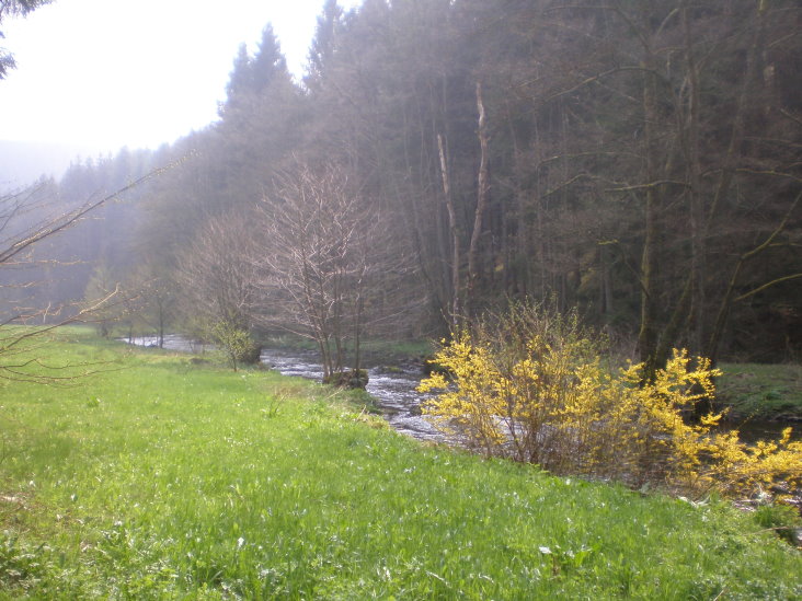 gedinne419.jpg