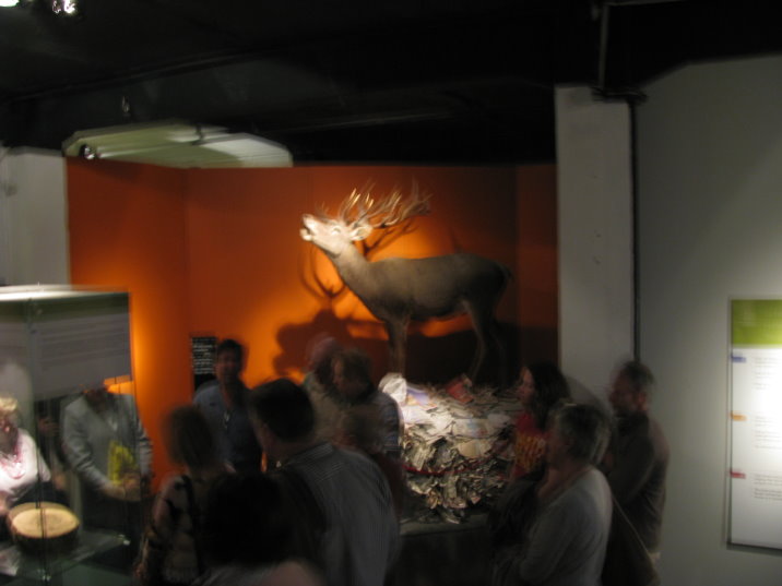 expo11.jpg
