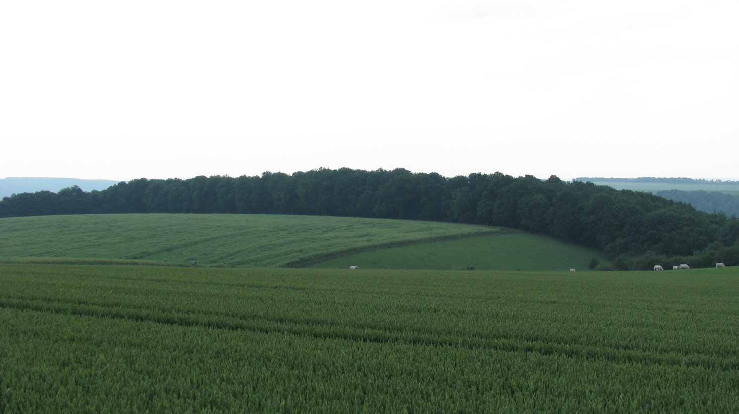 hermeton114.jpg