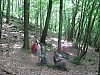 hermeton149.jpg