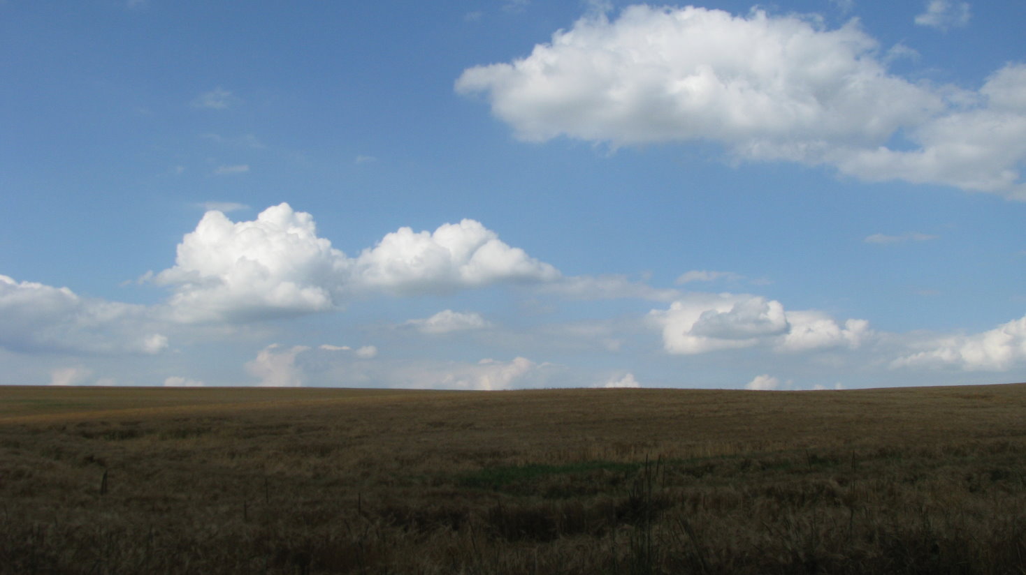anseremme060.jpg