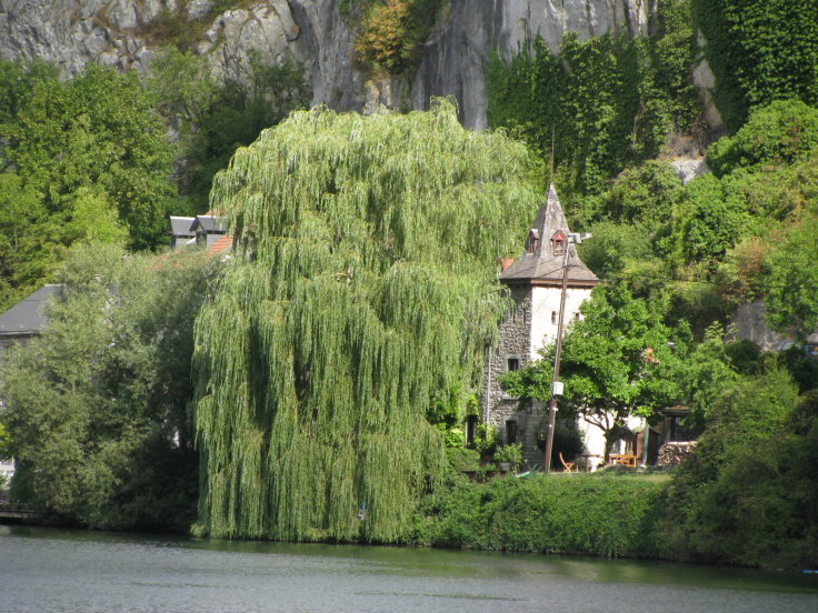 meuse090.jpg