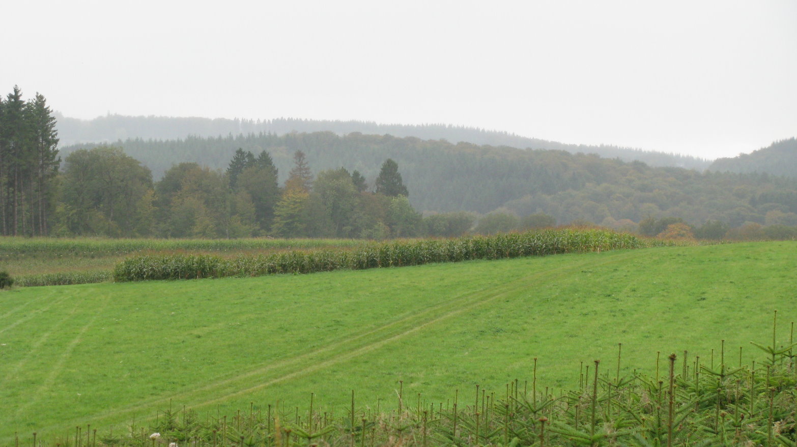 bouillon010.jpg