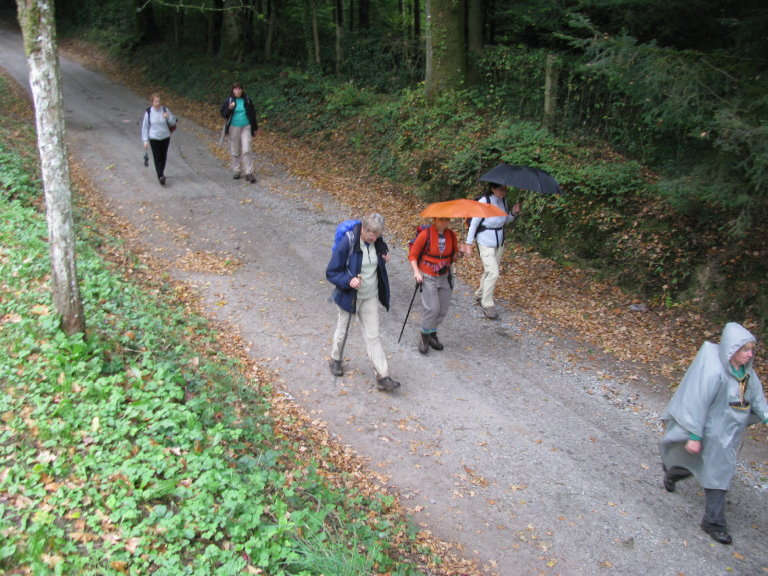 bouillon042.jpg