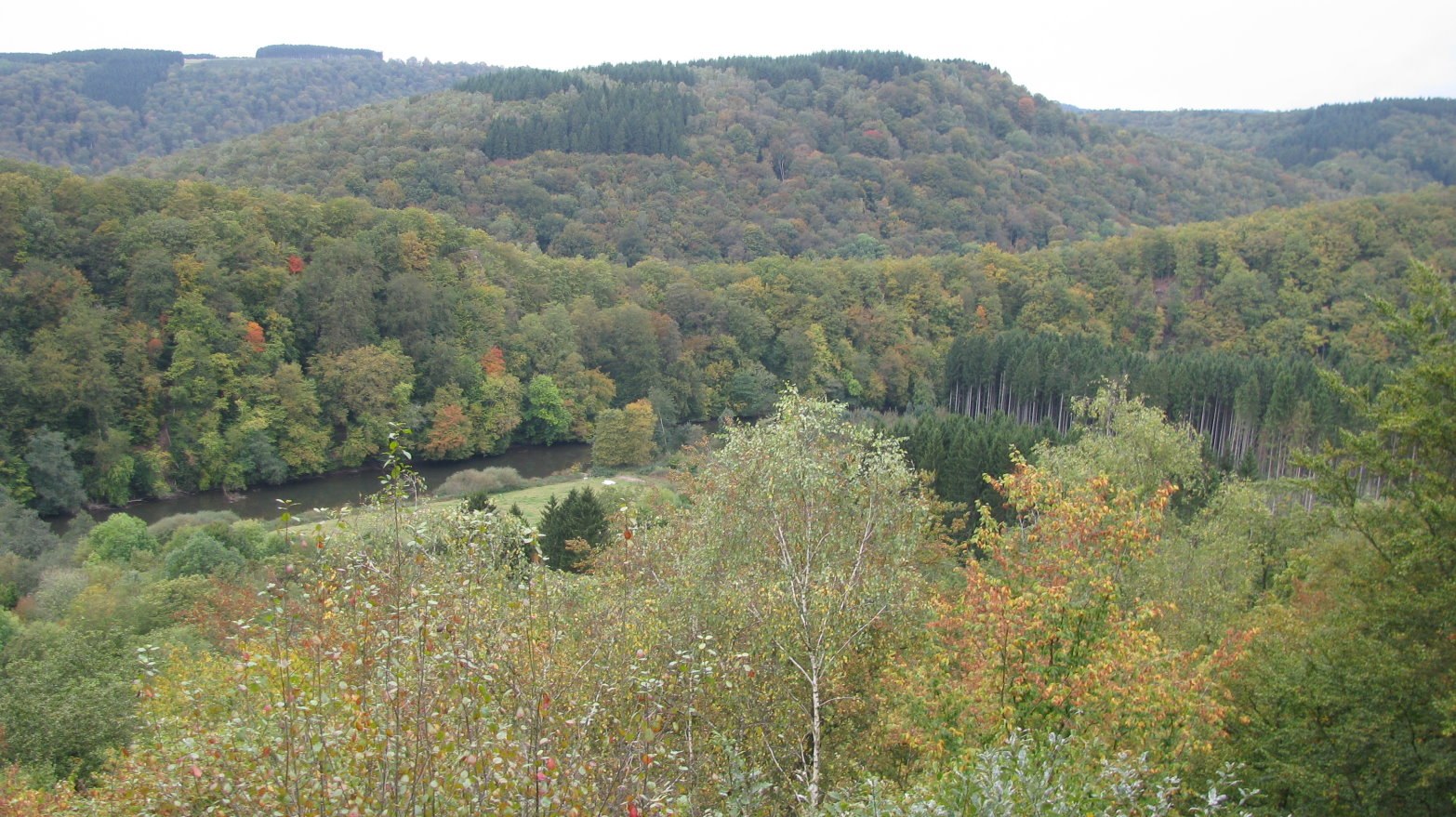 bouillon058.jpg