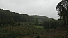 bouillon013.jpg