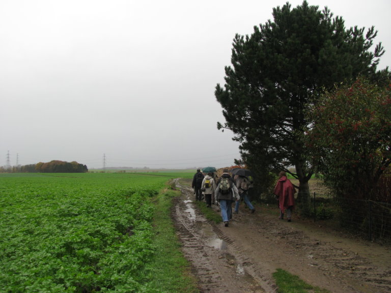fleurus076.jpg