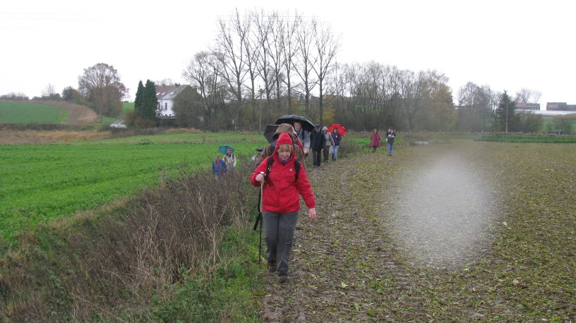 fleurus084.jpg