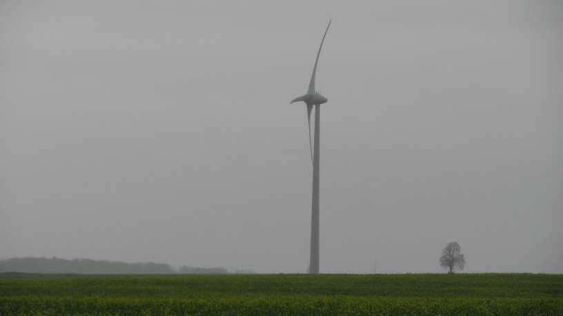 fleurus087.jpg