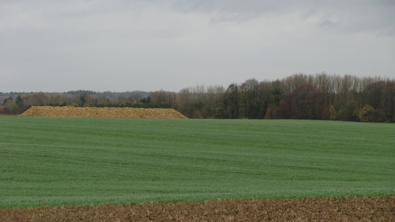 fleurus093.jpg