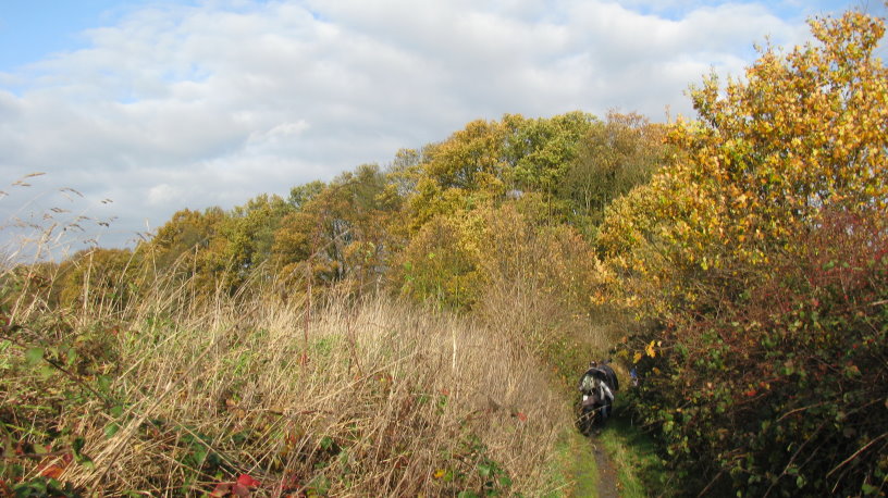 fleurus102.jpg