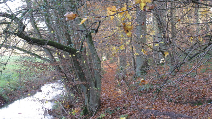 fleurus104.jpg
