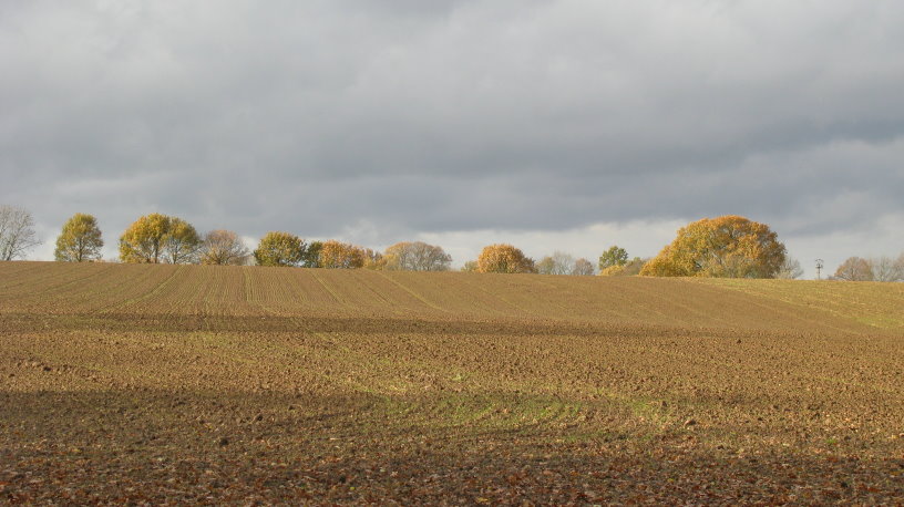 fleurus109.jpg