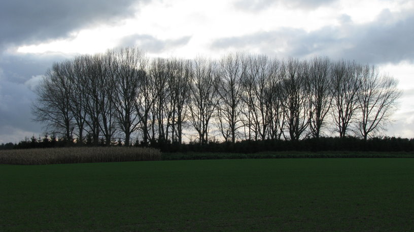 fleurus121.jpg