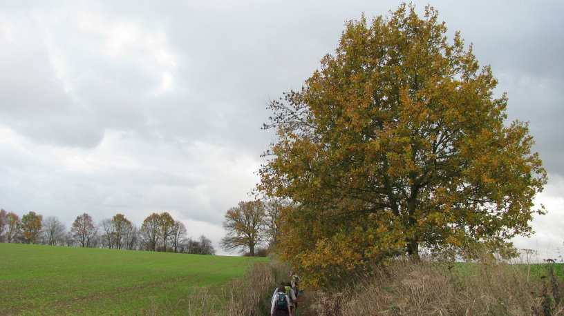 fleurus123.jpg