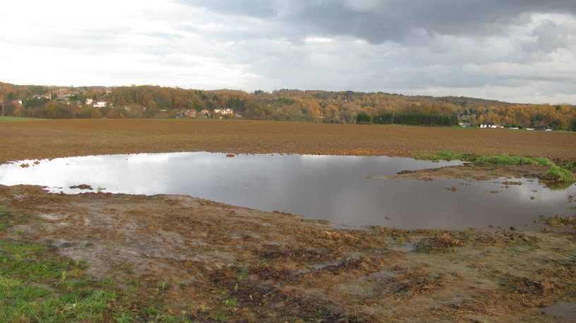 fleurus127.jpg