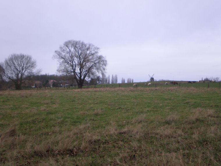 pajottenland008.jpg