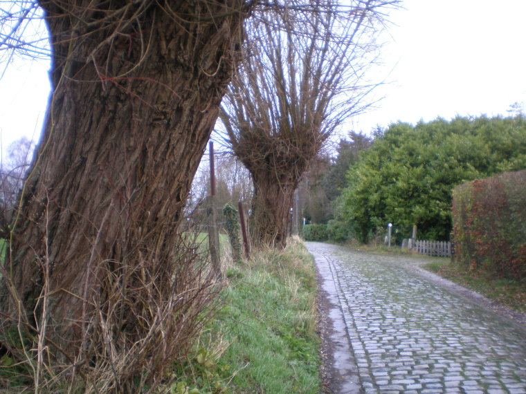 pajottenland014.jpg