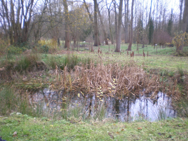 pajottenland019.jpg