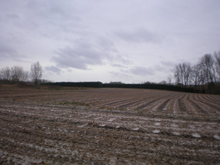 pajottenland021.jpg