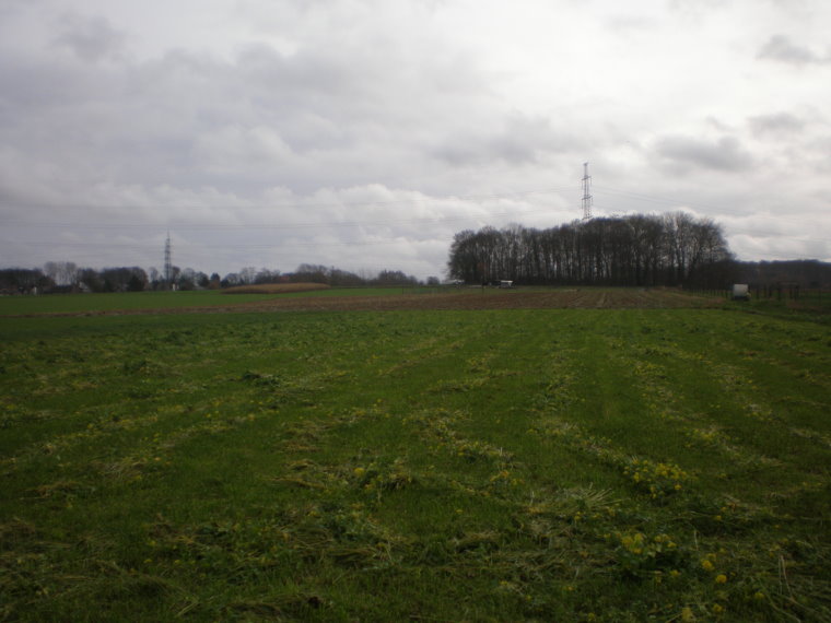 pajottenland024.jpg