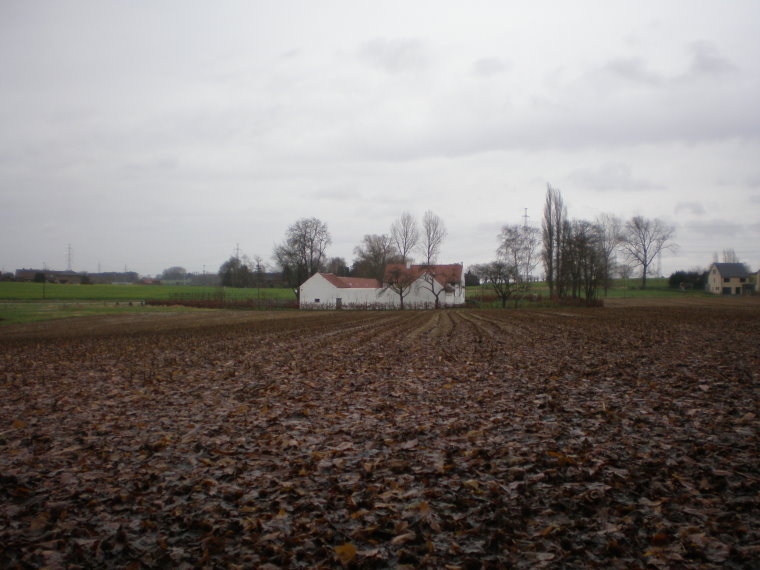 pajottenland029.jpg