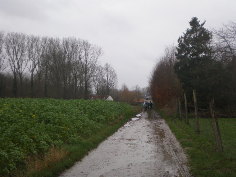 pajottenland035.jpg