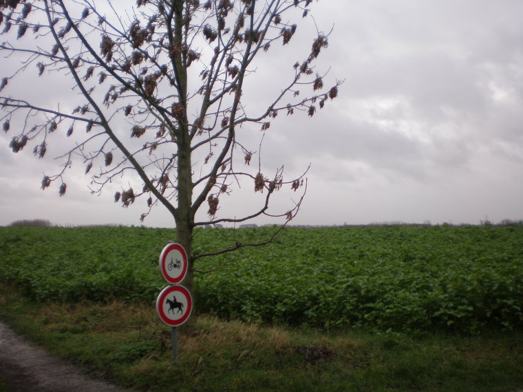 pajottenland041.jpg