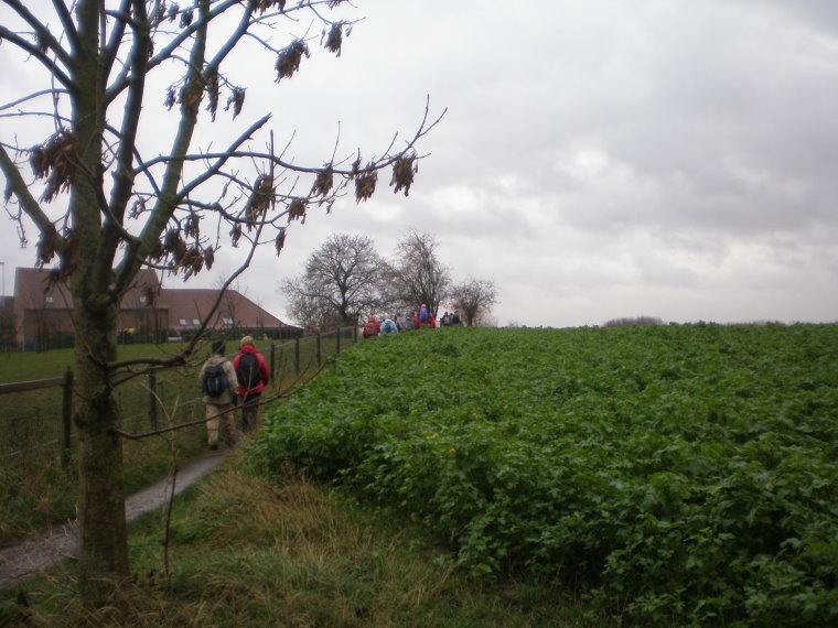 pajottenland042.jpg